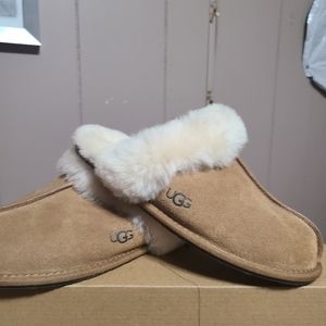 Ugg slippers